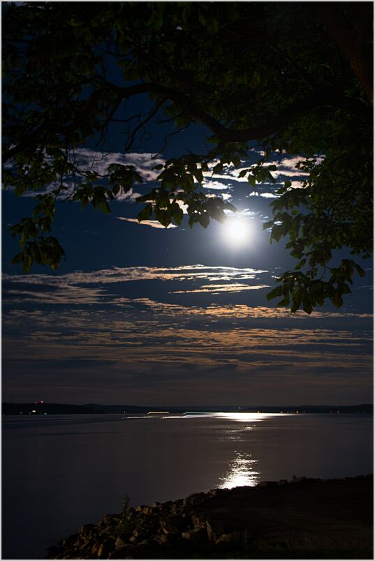 Moonrise_2022