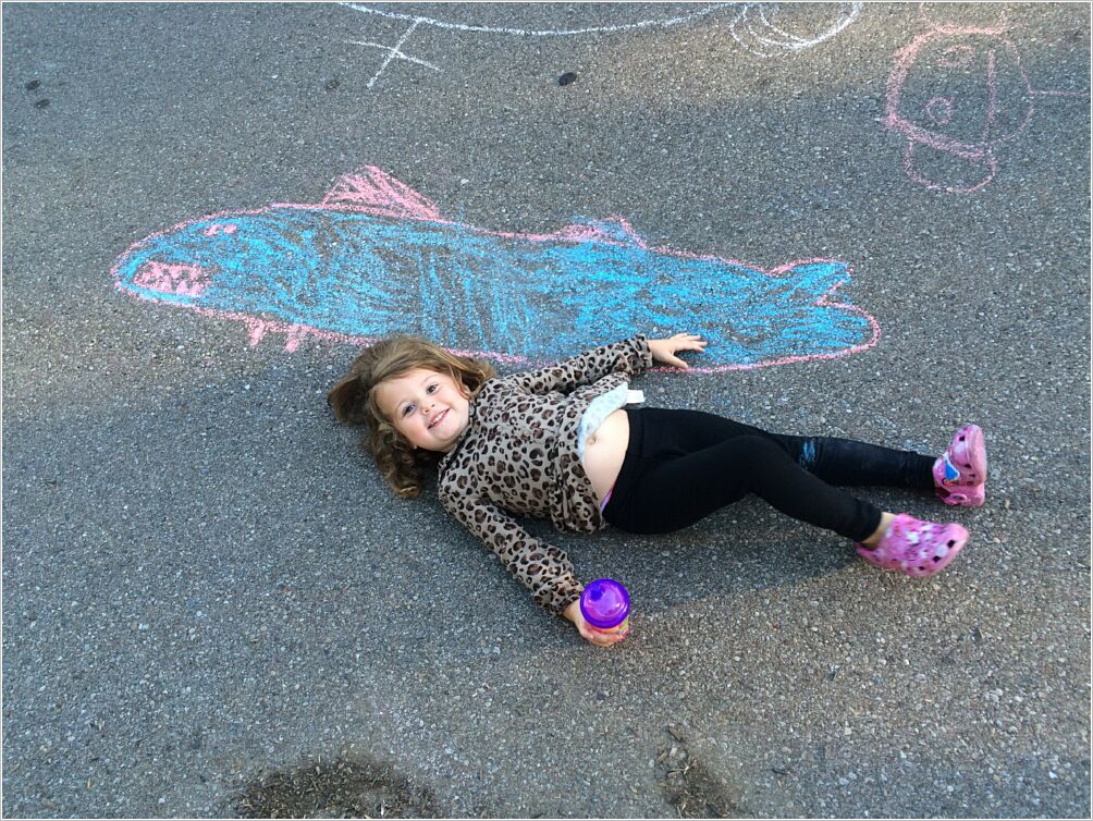 Sidewalk Shark