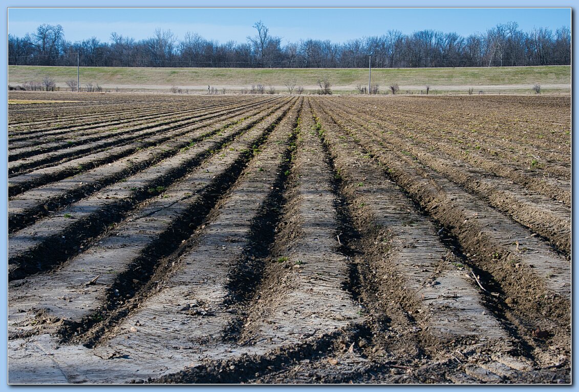 Plowing-03