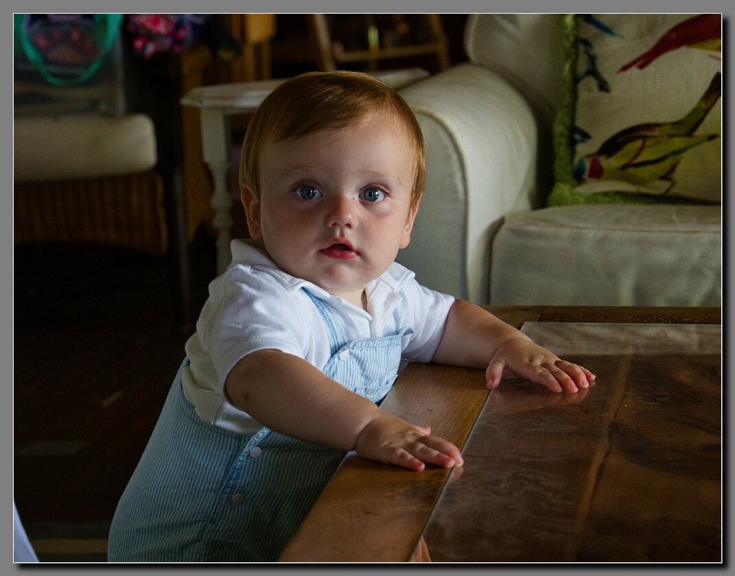 Carter-o1